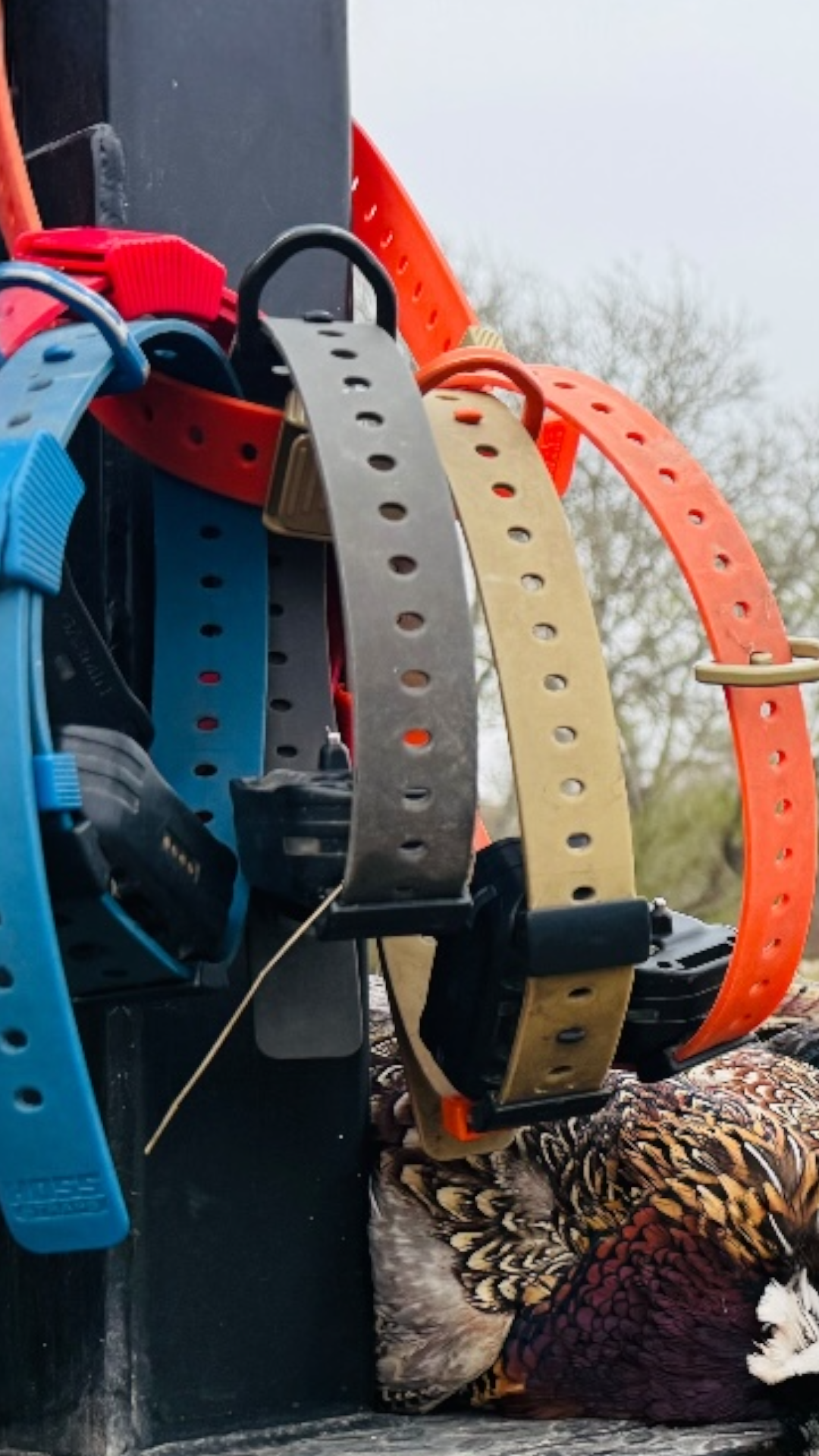 Field Setup (3 Collars)