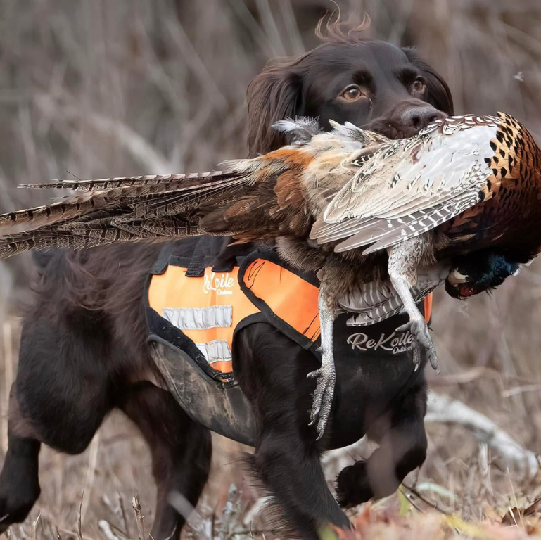 Upland Dog Vest