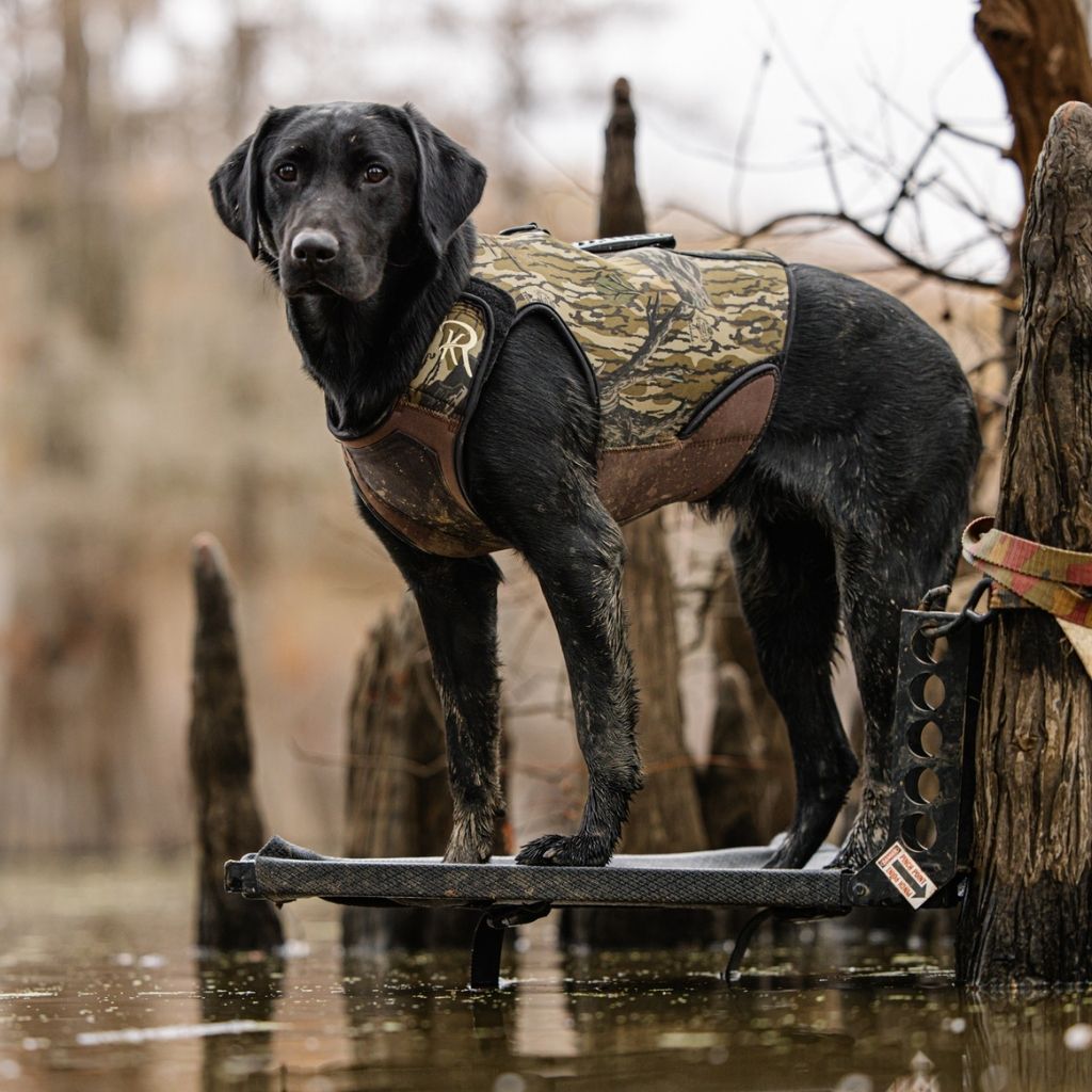 2.0 Waterfowl Dog Vest | Limited Edition