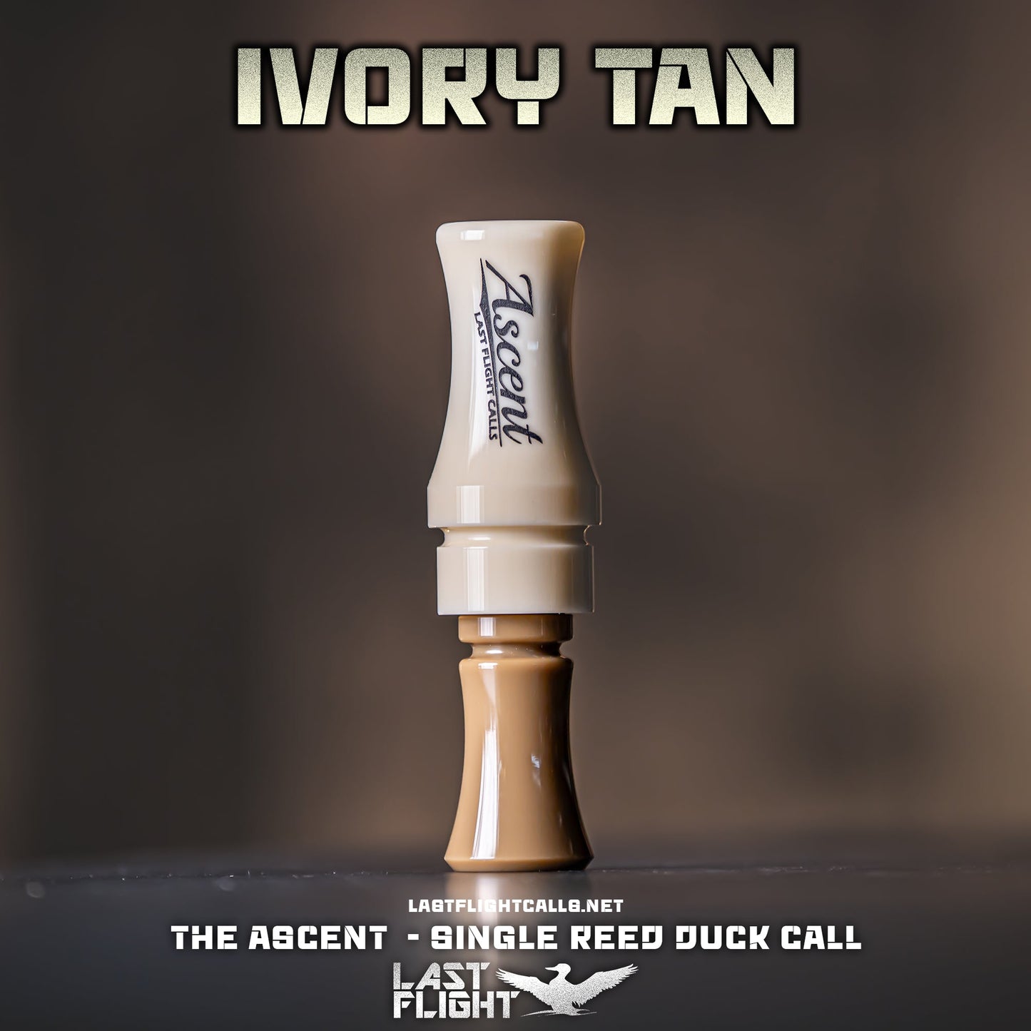 The Ascent - Acrylic