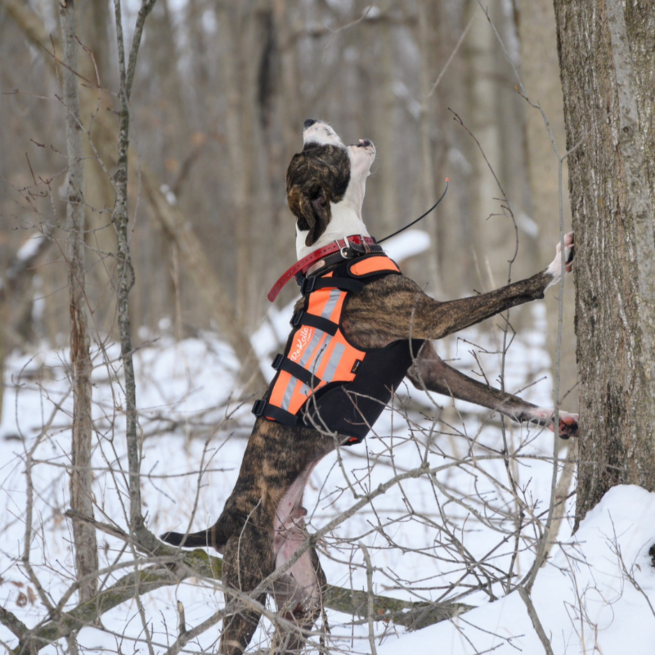 Upland Dog Vest